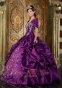 Popular The Super Hot Purple Quinceanera Dress Strapless Taffeta Embroidery Ball Gown