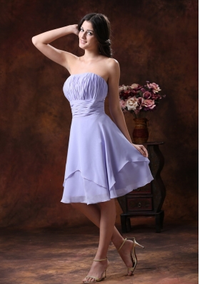 2013 The Style Populor In Queen Creek Arizona Lilac Strapless Bridesmaid Dress