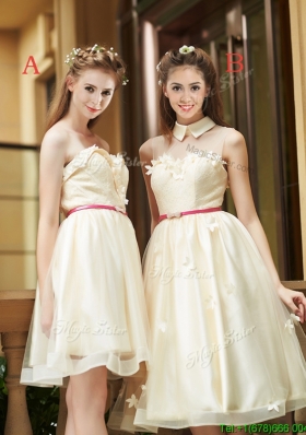 2016 Best Selling Champagne Organza Bridesmaid Dresses with Appliques and Sashes