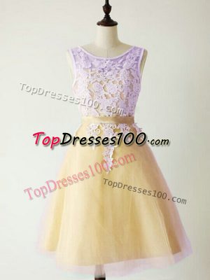 Modest Knee Length A-line Sleeveless Gold Quinceanera Court Dresses Lace Up