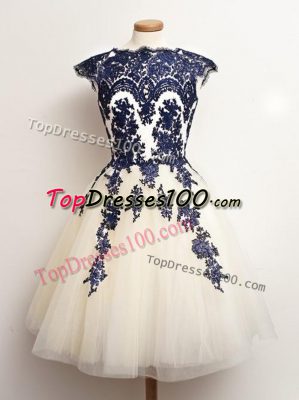 Trendy Sleeveless Mini Length Appliques Lace Up Quinceanera Court of Honor Dress with Blue And White