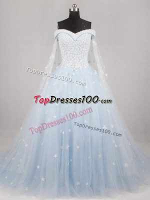 Beautiful A-line Sleeveless Light Blue Wedding Gown Watteau Train Lace Up