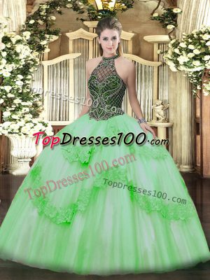 Halter Top Sleeveless Lace Up Sweet 16 Dresses Taffeta and Tulle