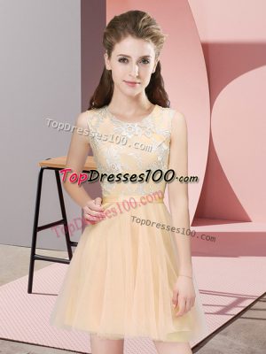 Scoop Sleeveless Bridesmaid Dress Mini Length Lace Champagne Tulle