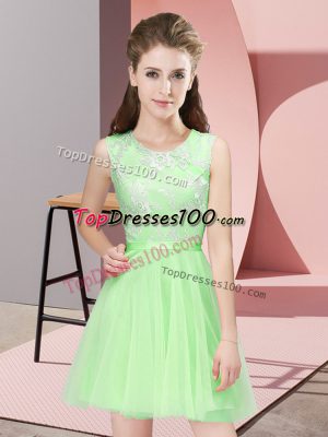 Fitting A-line Lace Bridesmaid Gown Side Zipper Tulle Sleeveless Mini Length