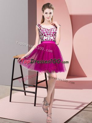 Fancy Bateau Sleeveless Tulle Quinceanera Court of Honor Dress Lace Zipper