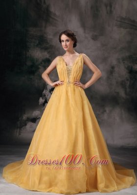 Plus Size Modest Yellow A-line V-neck Mother Of The Bride Dress Organza Beading Brush Train