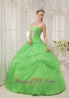 New Brand New Spring Green Quinceanera Dress Sweetheart Organza Appliques Ball Gown