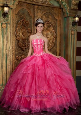 Popular Gorgeous Hot Pink Quinceanera Dress Strapless Appliques Organza Ball Gown