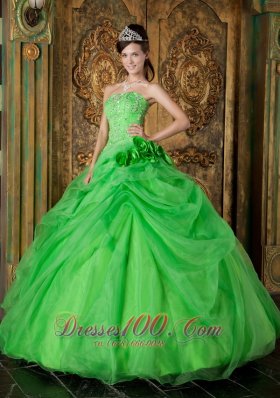 Spring Green Ball Gown Strapless Floor-length Organza Beading Quinceanera Dress Pretty