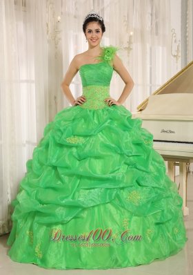 2013 Hot In Sucre City Spring Green One Shoulder Quinceaners Dress With Embroidery and Pick-ups Decorate Pretty