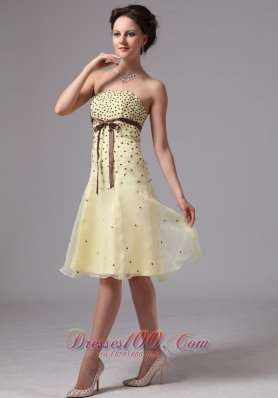 Light Yellow A-line Sash Knee-length Prom Dress For Prom Party In Alpharetta Georgia