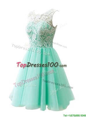 Custom Design Scoop Knee Length A-line Sleeveless Apple Green Party Dress for Toddlers Clasp Handle