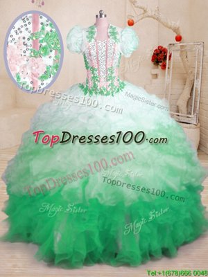 High Quality Multi-color Organza Lace Up Sweetheart Sleeveless With Train Ball Gown Prom Dress Brush Train Beading and Appliques and Ruffles