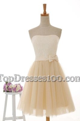Strapless Sleeveless Teens Party Dress Knee Length Lace Champagne Tulle and Lace