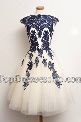 Scalloped Appliques Cocktail Dress Blue And White Zipper Cap Sleeves Knee Length