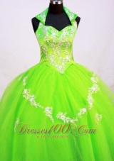 Fashionable Little Girl Pageant Dresses With Halter Top and Spring Green  Pageant Dresses