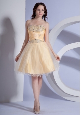 Beading Decorate Bodice A-line Light Yellow Taffeta and Organza 2013 Prom Dress