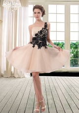 Luxurious One Shoulder Champagne Prom Dress with Appliques