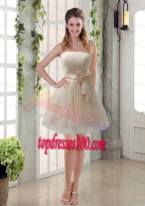 Simple Ruching Strapless Princess  Bridesmaid Dress with Bowknot