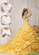 2016 Classical Court Train Sweet 16 Quinceanera Gowns with Pick Ups and Appliques