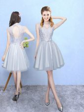 Hot Selling Lace Quinceanera Court Dresses Silver Lace Up Sleeveless Knee Length