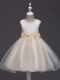 Champagne Ball Gowns Lace and Hand Made Flower Little Girls Pageant Gowns Zipper Tulle Sleeveless Knee Length