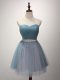 A-line Quinceanera Court of Honor Dress Light Blue Sweetheart Tulle Sleeveless Mini Length Lace Up