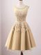 Gold Sleeveless Tulle Lace Up Court Dresses for Sweet 16 for Prom and Party and Wedding Party