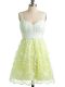 Straps Sleeveless Lace Quinceanera Court of Honor Dress Lace Lace Up