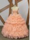 Custom Made Peach Ball Gowns Organza Sweetheart Sleeveless Beading and Ruffles and Pick Ups Lace Up Vestidos de Quinceanera Sweep Train
