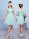 Chic Aqua Blue Lace Up Scoop Appliques Bridesmaid Gown Tulle Sleeveless