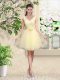 Simple V-neck Sleeveless Tulle Court Dresses for Sweet 16 Lace and Belt Lace Up