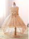 Adorable Scoop Sleeveless Zipper Party Dress Champagne Tulle