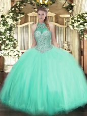 Halter Top Sleeveless Lace Up 15th Birthday Dress Apple Green Tulle