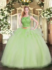 Yellow Green Organza Lace Up Quince Ball Gowns Sleeveless Floor Length Beading