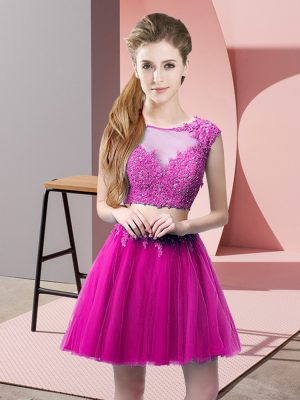 Sweet Sleeveless Tulle Mini Length Zipper Evening Dress in Fuchsia with Appliques