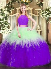 Exceptional Multi-color Tulle Zipper Ball Gown Prom Dress Sleeveless Floor Length Ruffles
