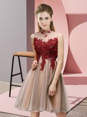 Pink Empire High-neck Sleeveless Tulle Knee Length Lace Up Appliques Dama Dress