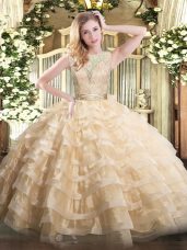 Popular Ball Gowns 15 Quinceanera Dress Champagne Scoop Organza Sleeveless Floor Length Backless