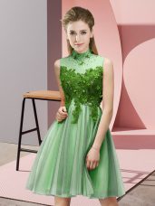 Exquisite Apple Green Empire High-neck Sleeveless Tulle Knee Length Lace Up Appliques Quinceanera Dama Dress