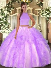 Traditional Organza Sleeveless Floor Length Quince Ball Gowns and Beading and Ruffles