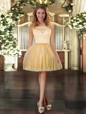 Amazing Gold Zipper Red Carpet Prom Dress Lace and Appliques Sleeveless Mini Length
