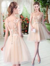 Artistic Short Sleeves Lace Up Mini Length Appliques Prom Evening Gown