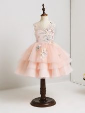 Popular V-neck Sleeveless Zipper Toddler Flower Girl Dress Pink Tulle