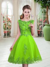 Sleeveless Tulle Lace Up Prom Gown for Prom and Party