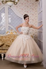 Beautiful A-line Strapless Ankle-length Tulle Appliques Wedding Dress - Top Selling