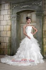 Beautiful A-line Strapless Chapel Train Organza Appliques Wedding Dress