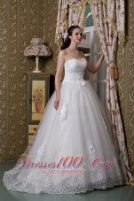 Elegant A-line Sweetheart Brush Train Taffeta and Lace Wedding Dress