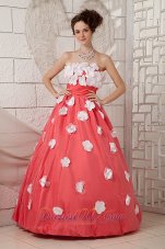 2013 Discount Watermelon A-line Prom Dress Strapless Appliques Floor-length Taffeta